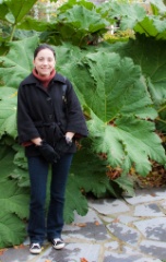 2009-11_Amsterdam_483