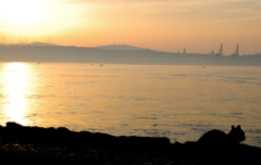 2009-05_DanielIstanbul_012