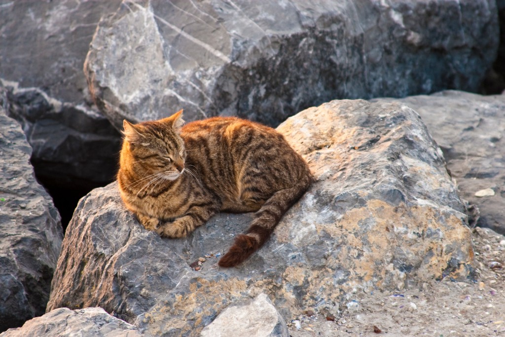 2009-05_Istanbul_088