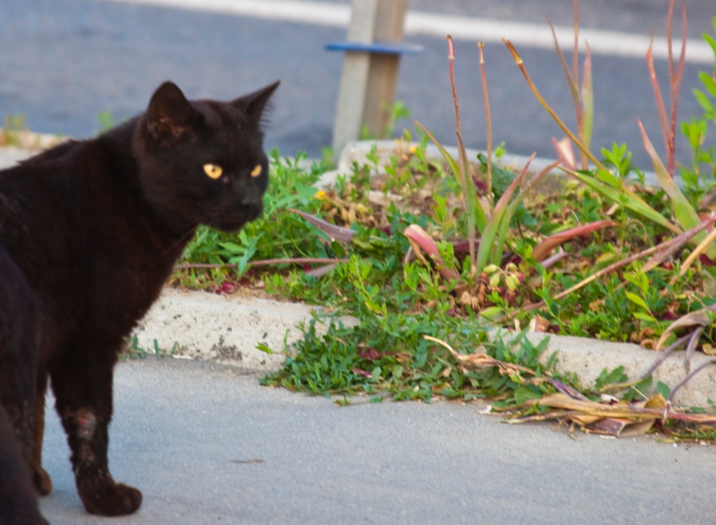 2009-05_Istanbul_133