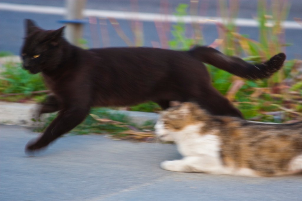 2009-05_Istanbul_142
