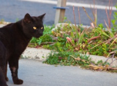 2009-05_Istanbul_133