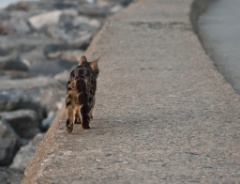 2009-05_Istanbul_160