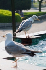 2009-05_Istanbul_310