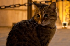 2009-05_Istanbul_326