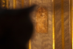 2009-05_Istanbul_328