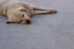 2009-05_Istanbul_626