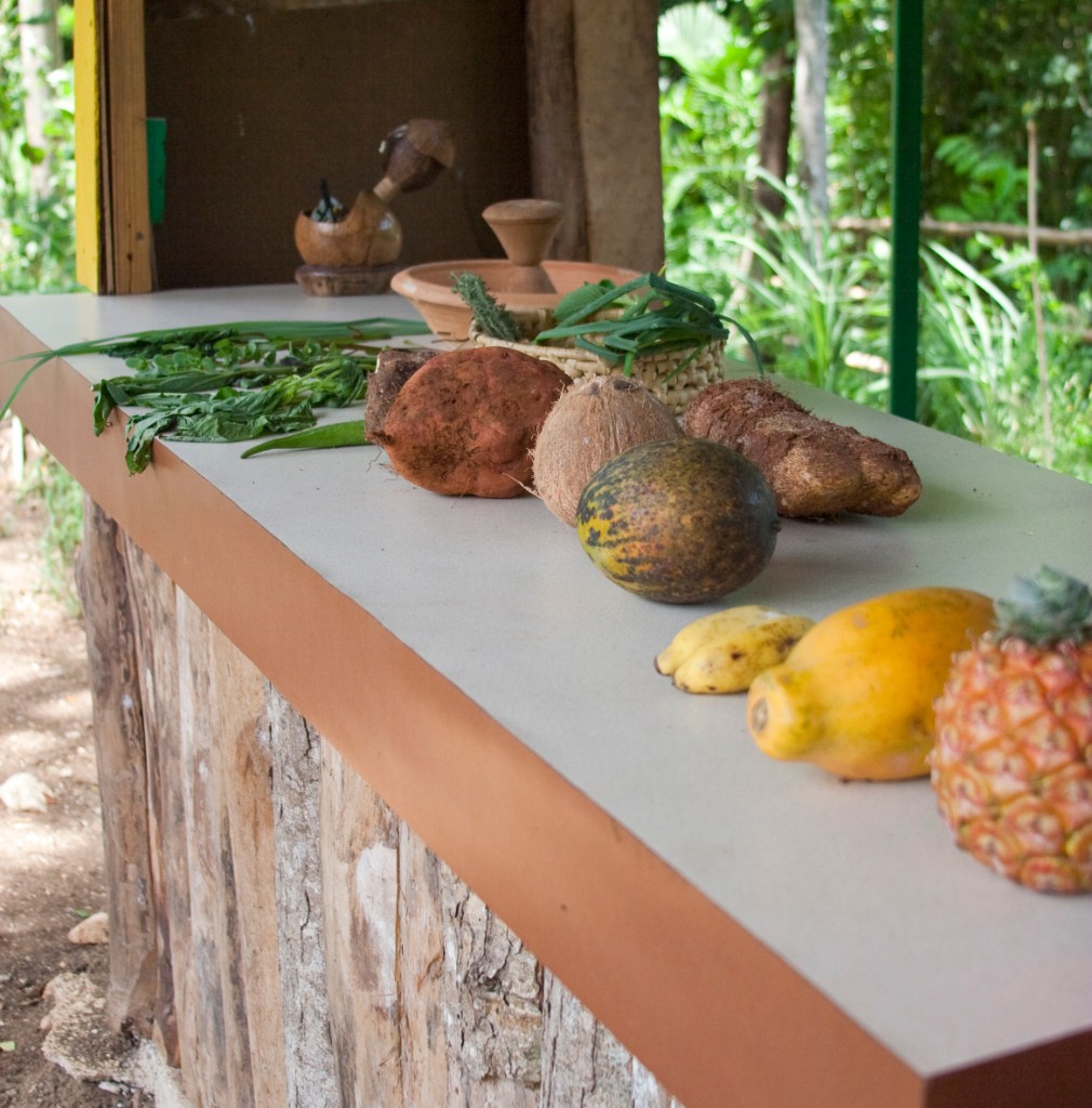 2009-09_Jamaica_171
