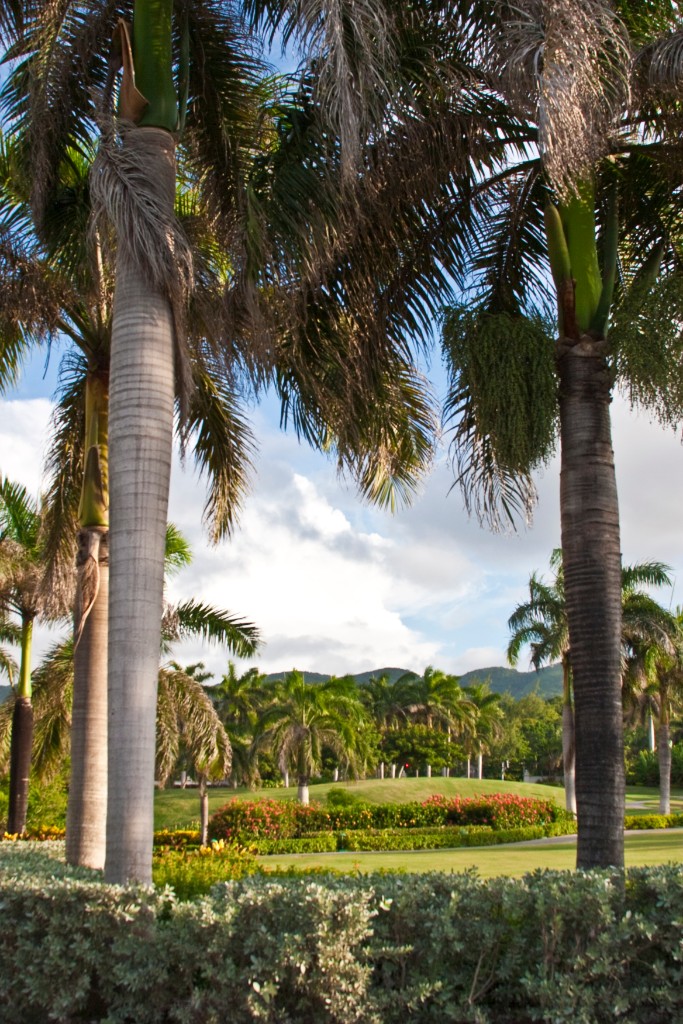 2009-09_Jamaica_197