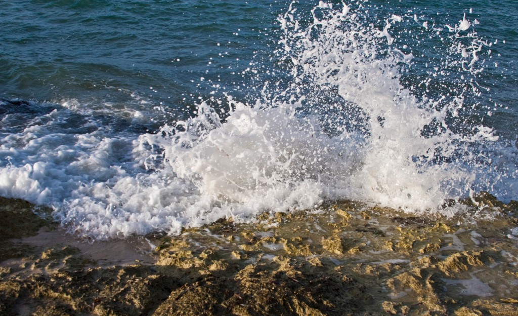 2009-09_Jamaica_211