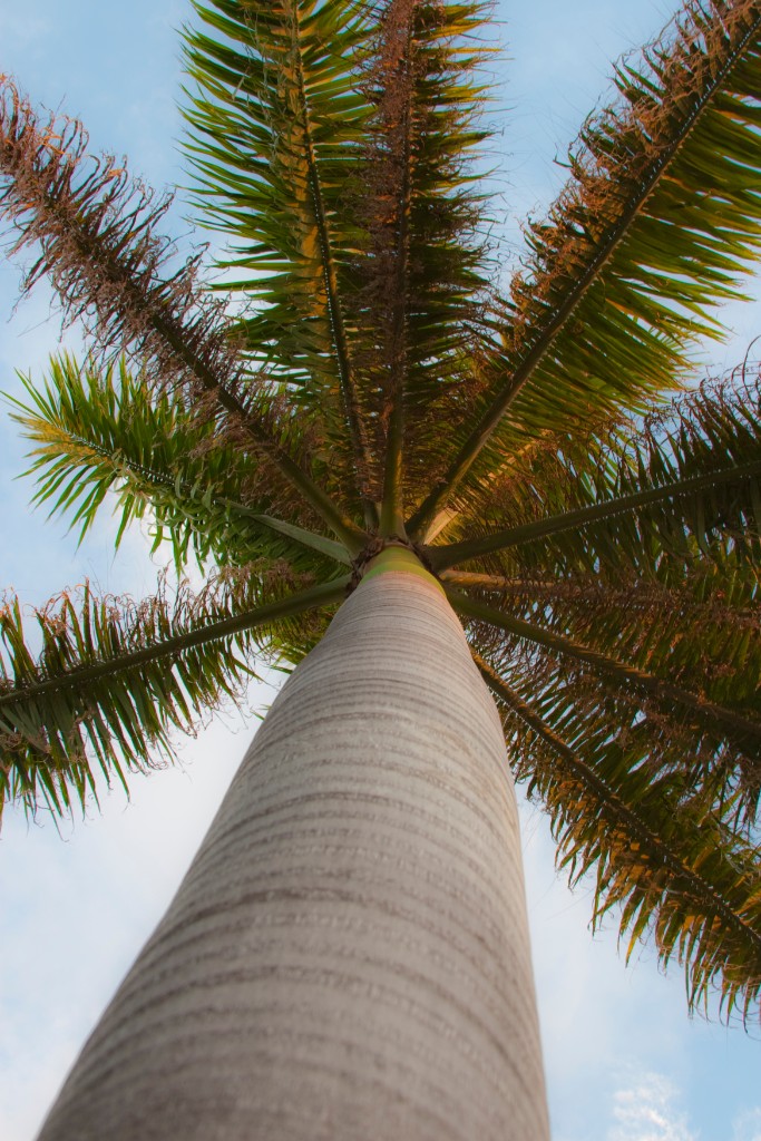 2009-09_Jamaica_252