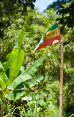 2009-09_Jamaica_131