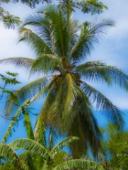 2009-09_Jamaica_181