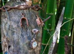 2009-09_Jamaica_186