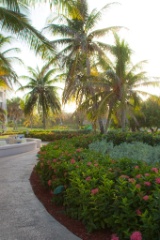 2009-09_Jamaica_232