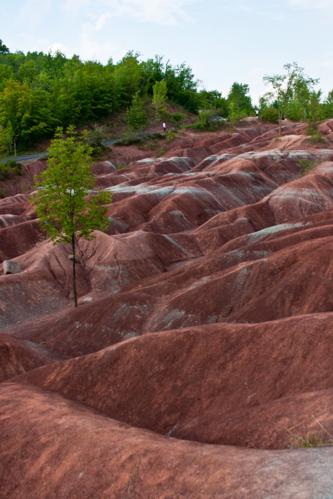 2010-08_Badlands_060
