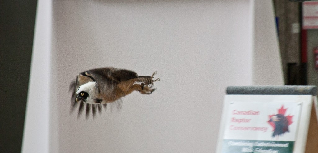 2010-08_ScienceCenter_060