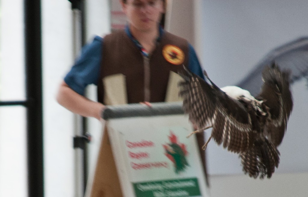 2010-08_ScienceCenter_065