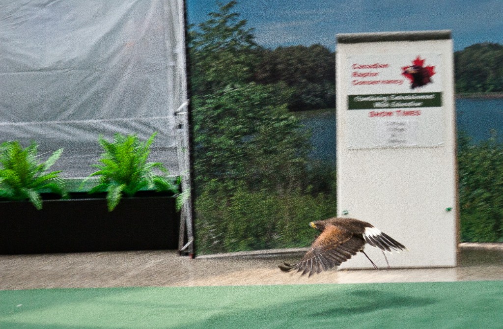 2010-08_ScienceCenter_106