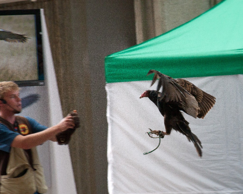 2010-08_ScienceCenter_131