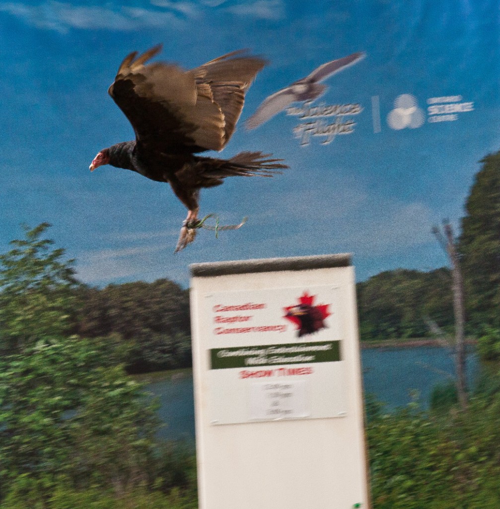 2010-08_ScienceCenter_155