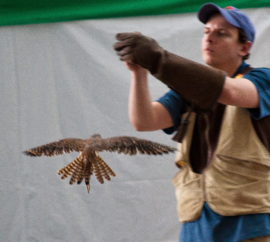 2010-08_ScienceCenter_188