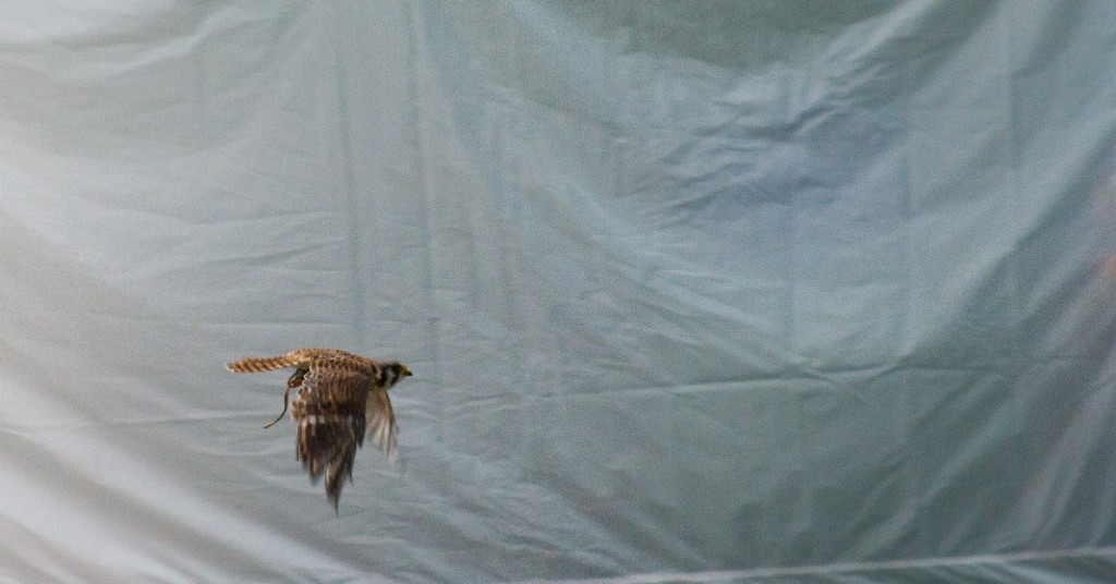 2010-08_ScienceCenter_195