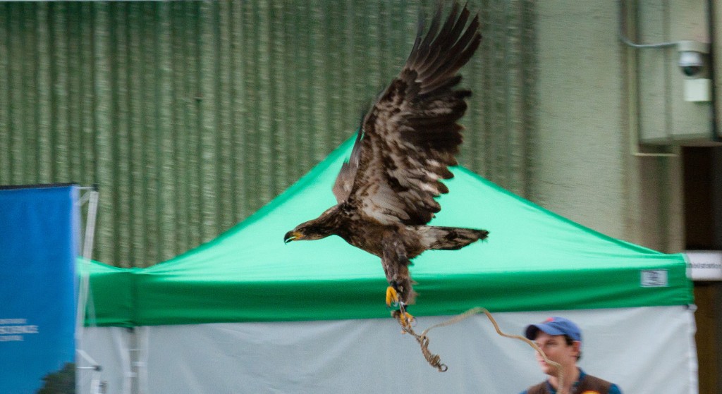 2010-08_ScienceCenter_222