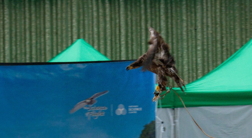 2010-08_ScienceCenter_223