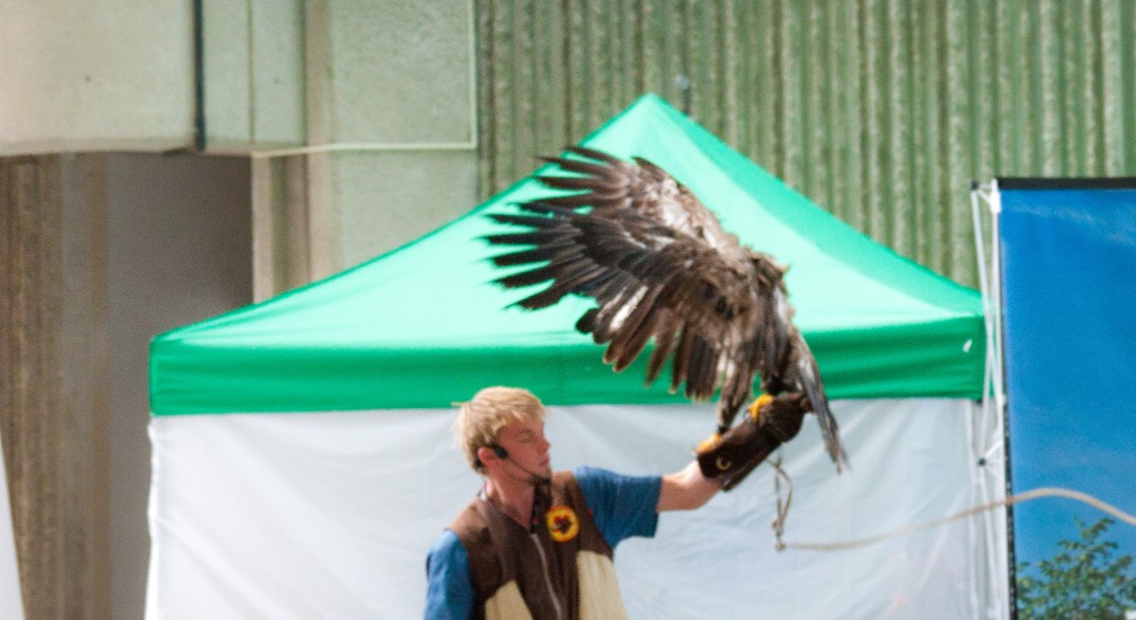 2010-08_ScienceCenter_226