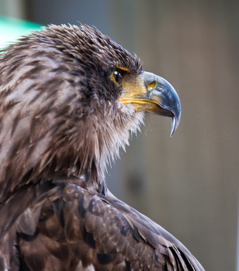 2010-08_ScienceCenter_258