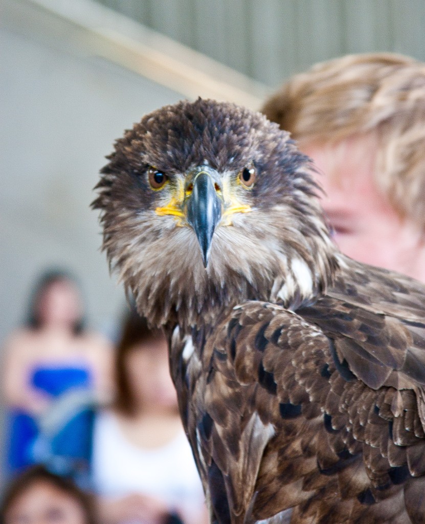 2010-08_ScienceCenter_267