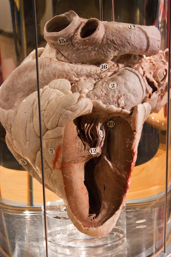 2010-08_ScienceCenter_290