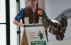 2010-08_ScienceCenter_065