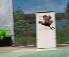 2010-08_ScienceCenter_098