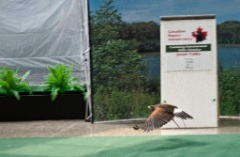 2010-08_ScienceCenter_106