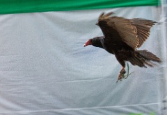 2010-08_ScienceCenter_130