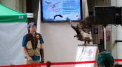 2010-08_ScienceCenter_219