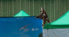 2010-08_ScienceCenter_223