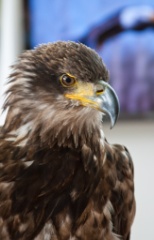 2010-08_ScienceCenter_255