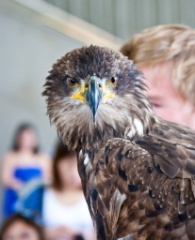 2010-08_ScienceCenter_267