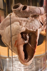 2010-08_ScienceCenter_290