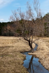 2010-03_Dover_004