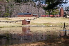 2010-03_Dover_028
