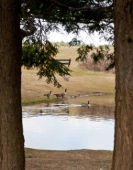 2010-03_Dover_030