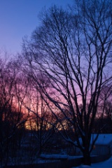 Dover Winter Sunset - Jan 2010