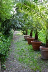 2010-04_Italia_1674