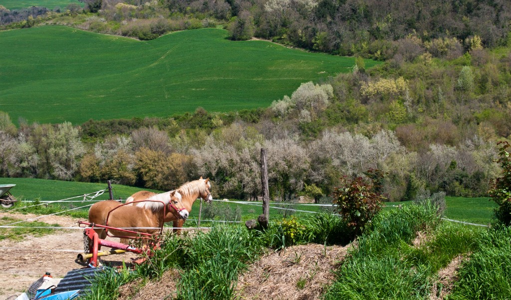 2010-04_Italia_1467