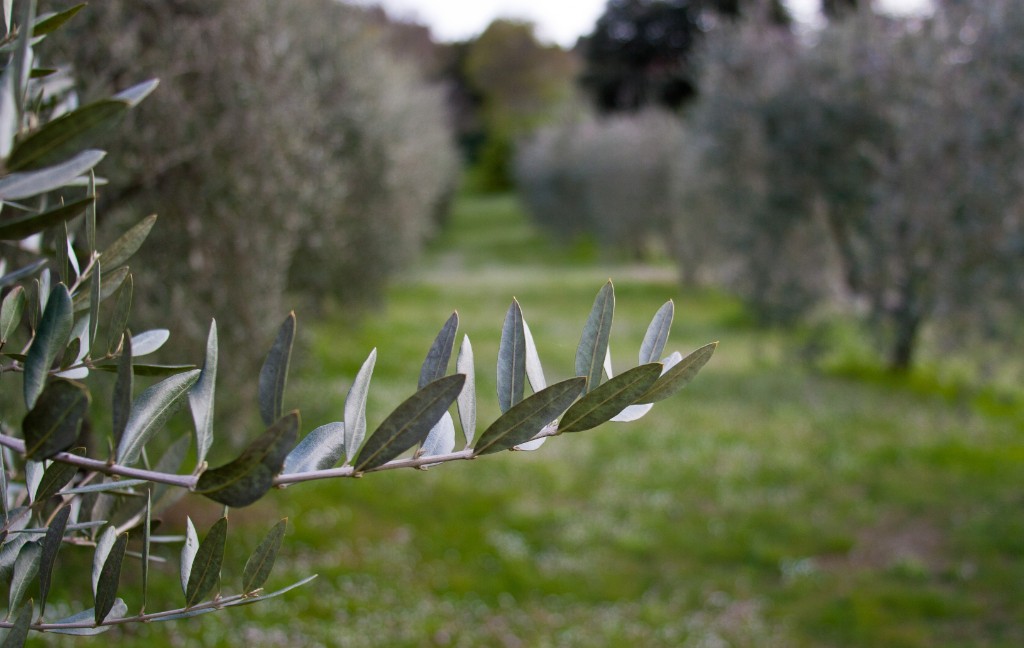 2010-04_Italia_1508