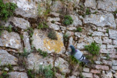2010-04_Italia_1272